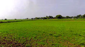 Barsana, Uttar Pradesh 281405, India preview 3