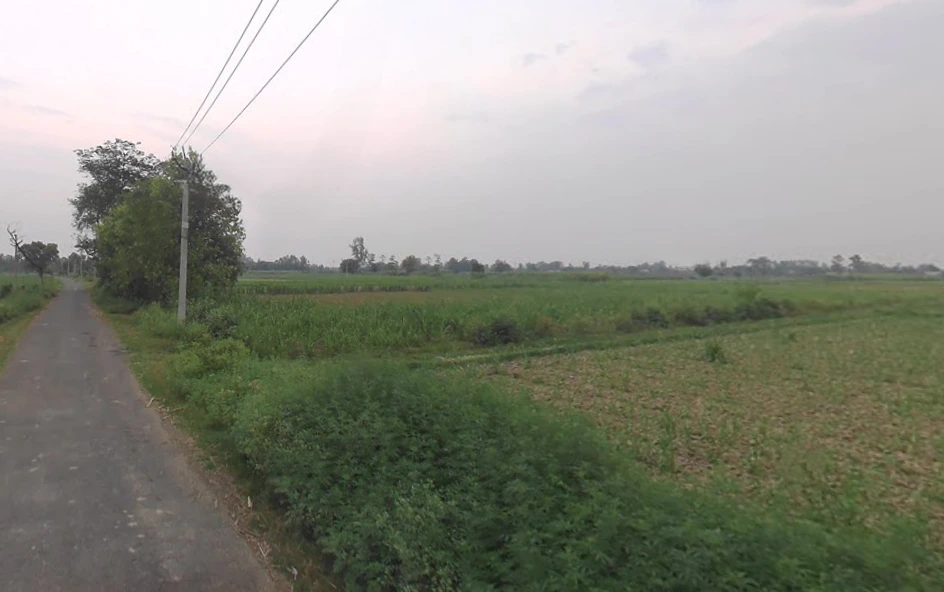 Kanth, Uttar Pradesh 244501, India