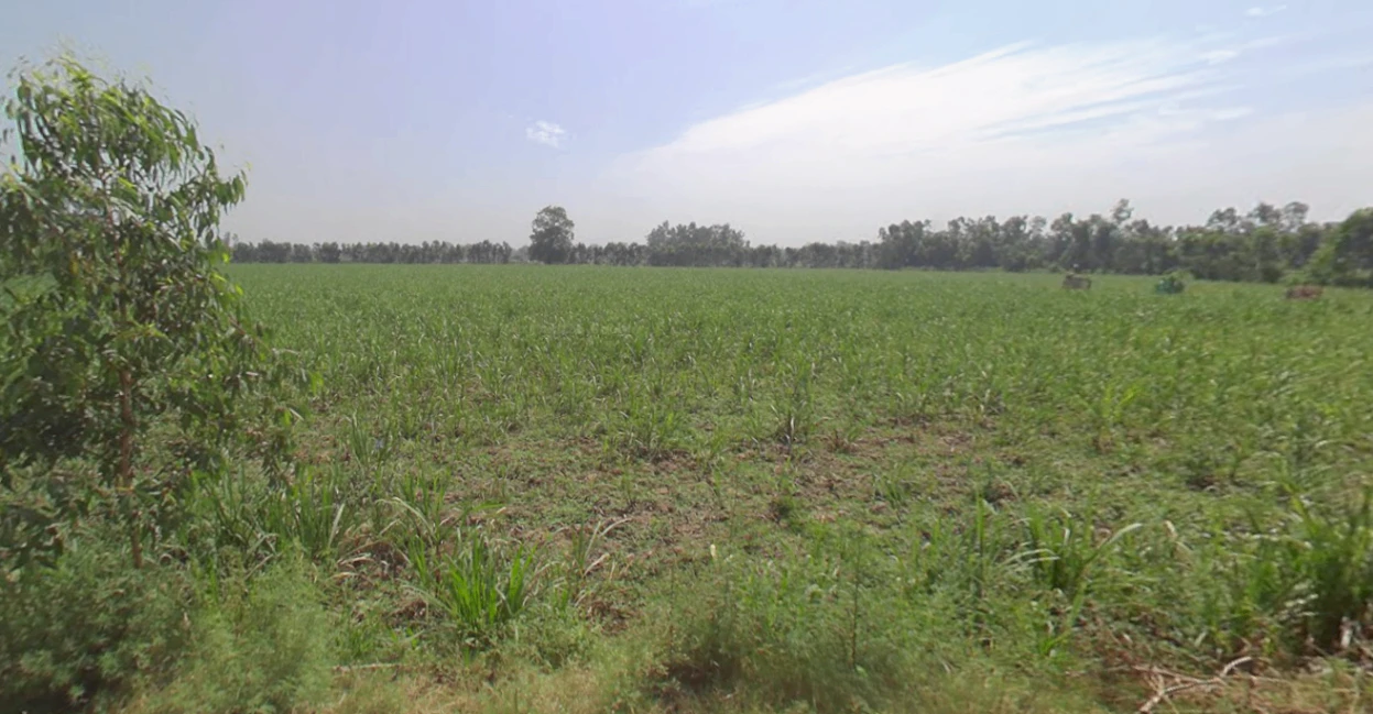 Rampur, Uttar Pradesh, India