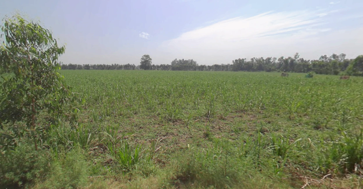 Rampur, Uttar Pradesh, India