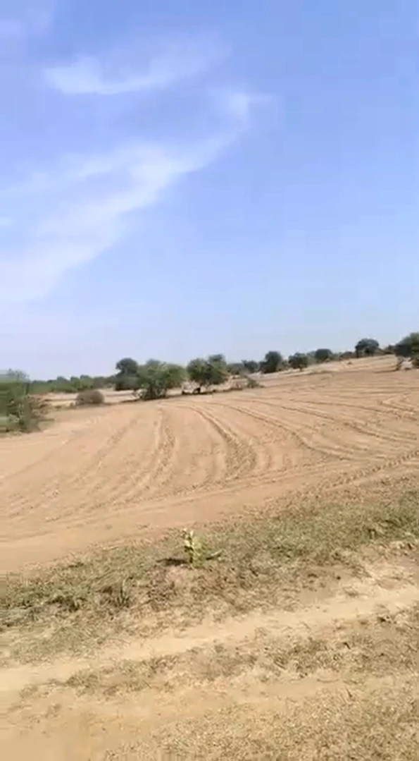 64Q9+HQ Thadoli, Sawai Madhopur, Rajasthan, India