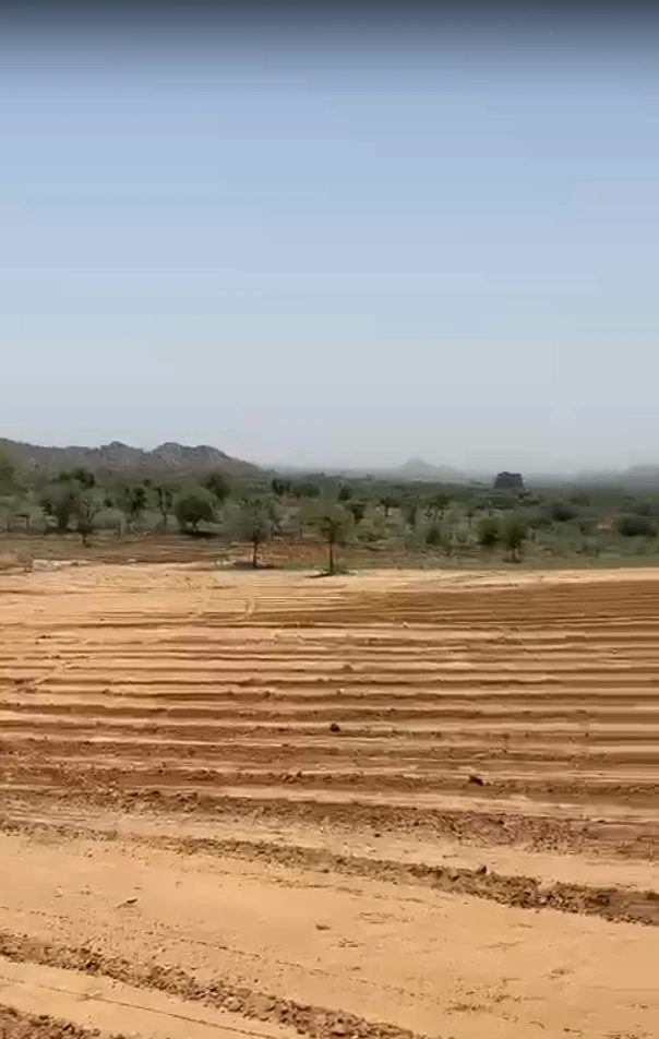 RM7Q+25 Jhalra, Didwana-Kuchaman, Rajasthan, India