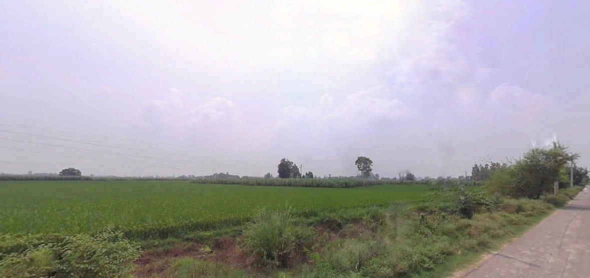 Shahzadpur, Haryana 134202, India preview 3