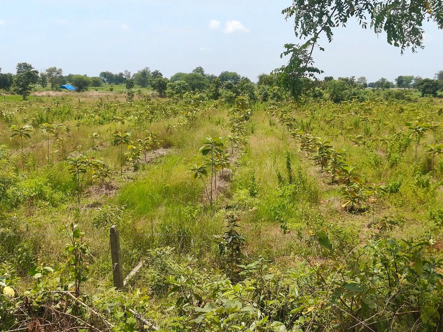 Ramtek, Maharashtra 441106, India