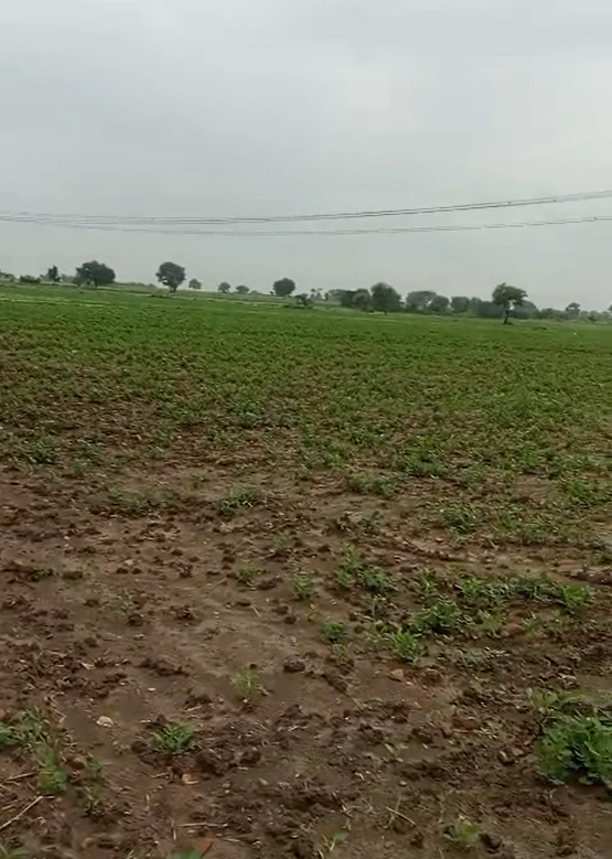57MQ+5Q6, Chhatarpur, Sarwai, Madhya Pradesh 471525, India