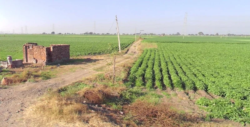 Dakachya, Madhya Pradesh 453771, India preview 2