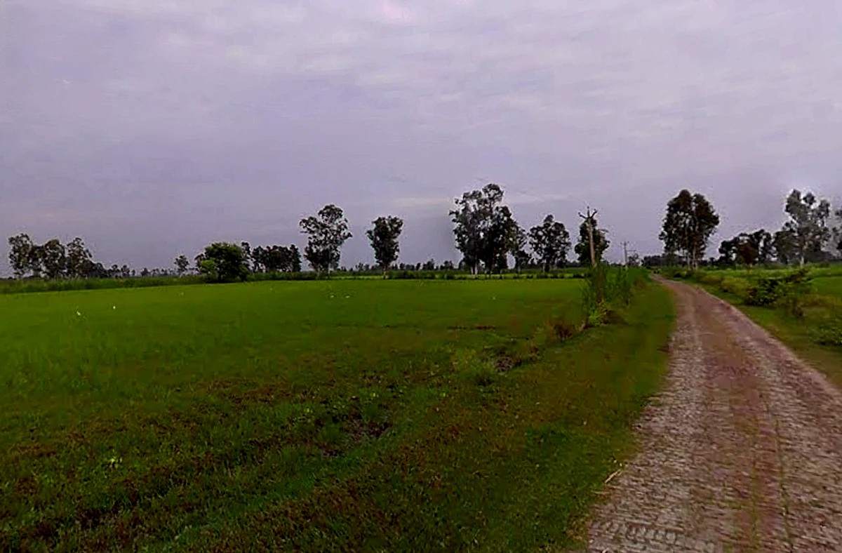 Siali, Uttar Pradesh 251320, India