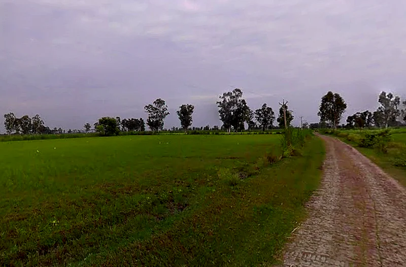 Siali, Uttar Pradesh 251320, India preview 2