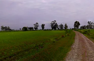 Siali, Uttar Pradesh 251320, India preview 2