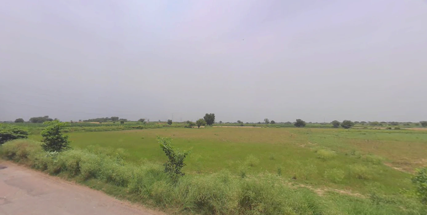 Meham, Haryana 124112, India