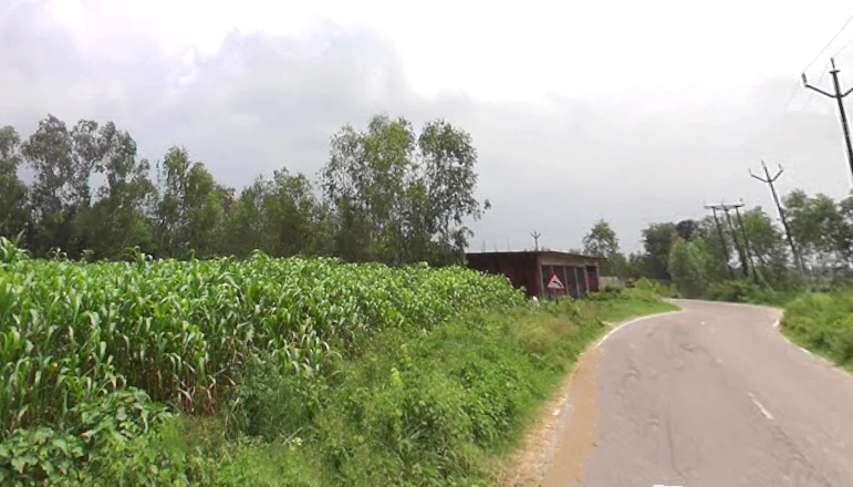 Janipur, Uttar Pradesh 247129, India