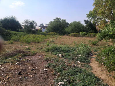 F4JC+G7 Benipur, Uttar Pradesh, India preview 2