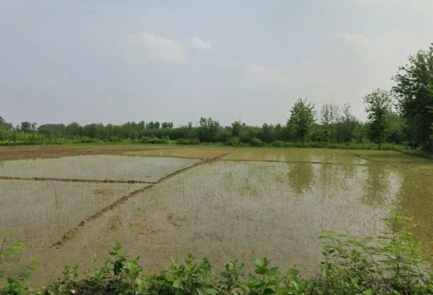 Rampur, Uttar Pradesh, India