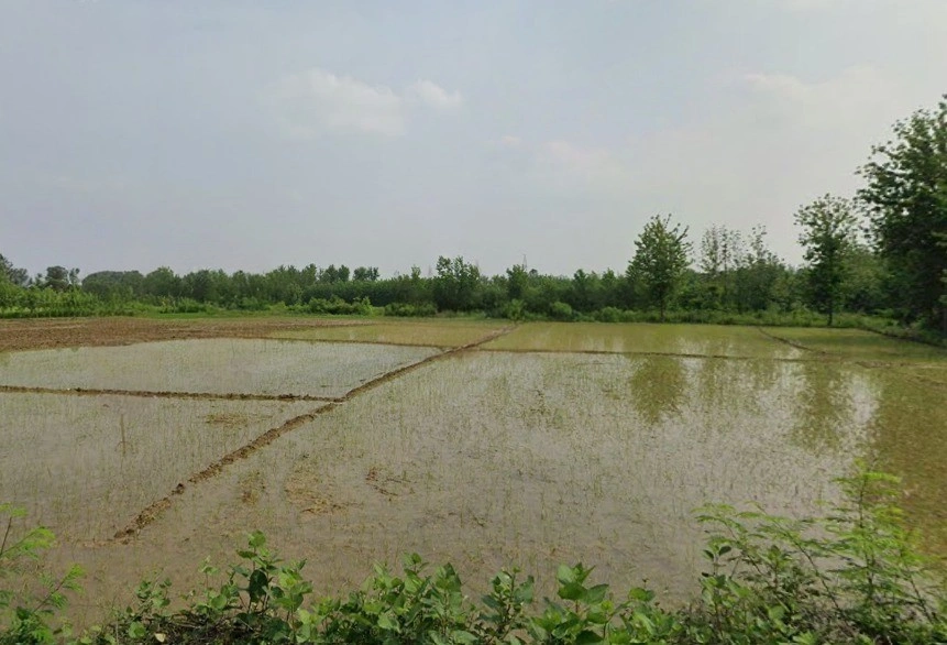 Rampur, Uttar Pradesh, India