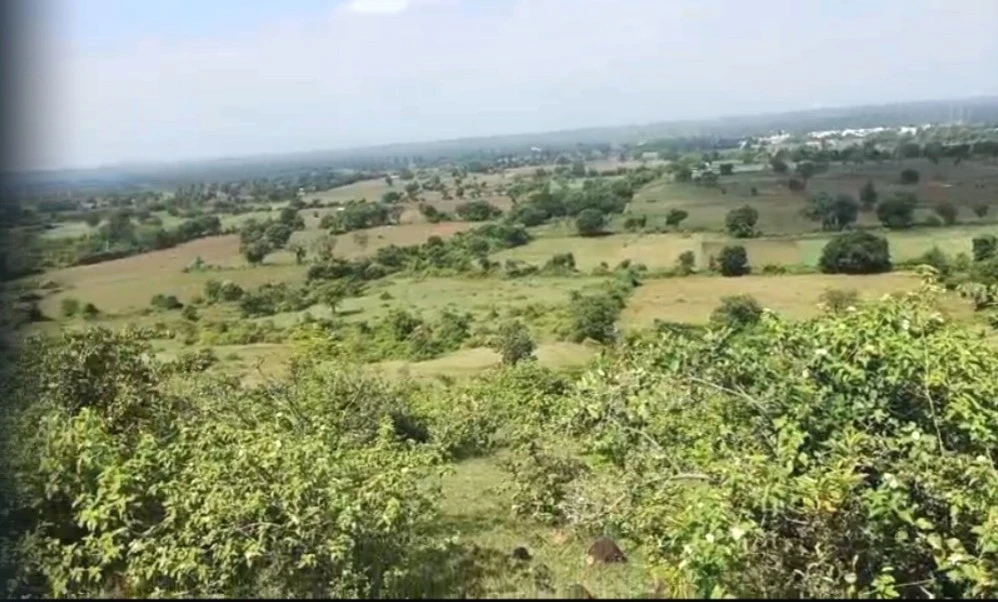 G6G7+795, Dupada, Madhya Pradesh, India