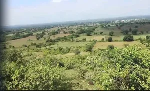 G6G7+795, Dupada, Madhya Pradesh, India preview 3