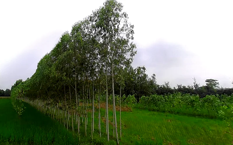 Chataki, Uttar Pradesh 247121, India preview 3