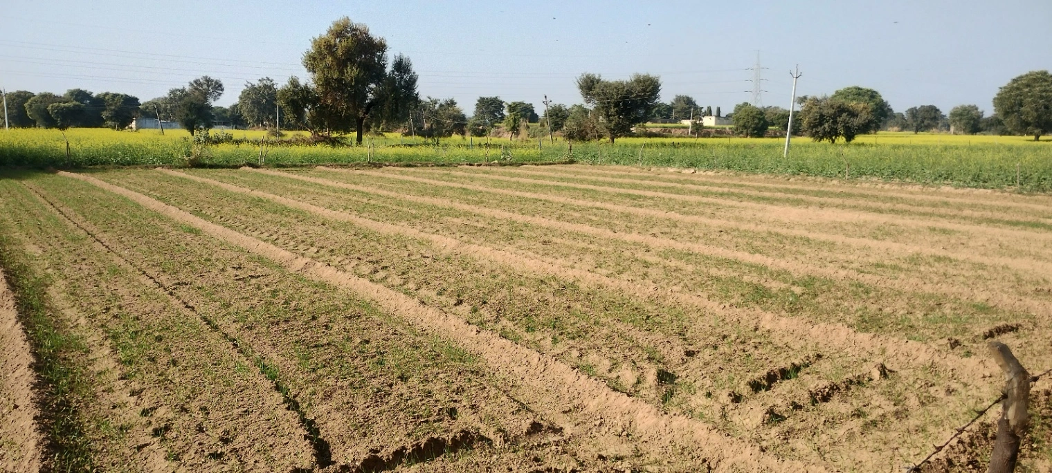 Jugrawar, Rajasthan, India