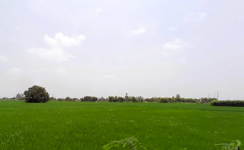 Batta, Haryana 136117, India