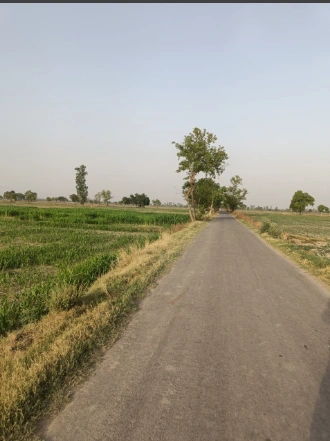 Samesar, Chhattisgarh 491337, India
