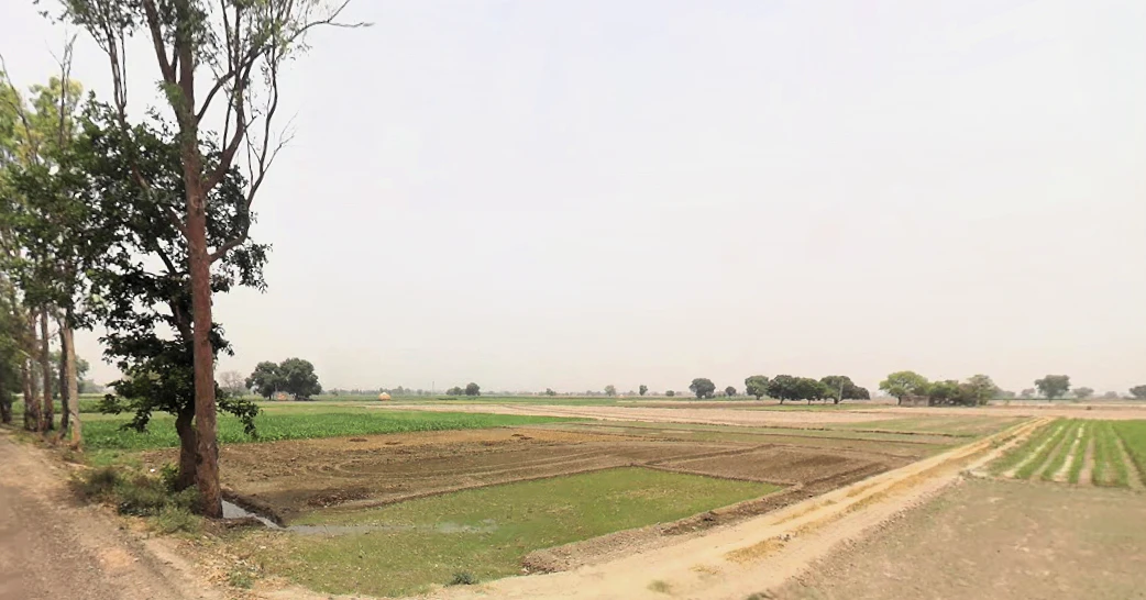 Bazidpur Saboli, Haryana 131029, India