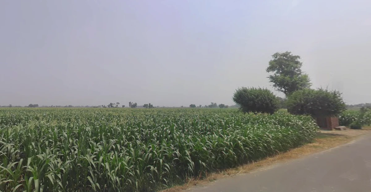 Vandhiya, Gujarat 370150, India