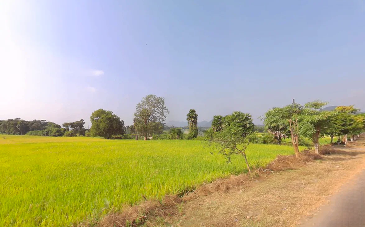 Chantipali, Odisha 768226, India preview 2