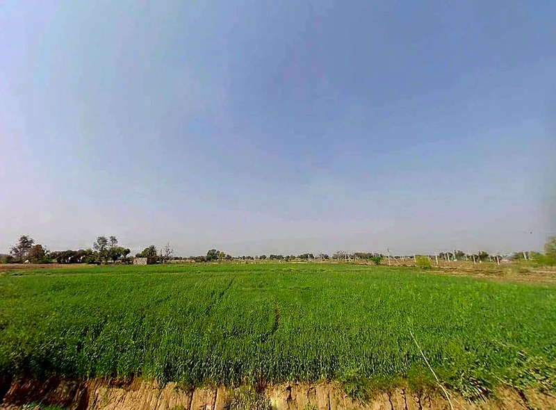 FPHH+75R, Jatpur, Rajasthan 301030, India preview 3