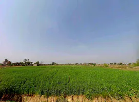 FPHH+75R, Jatpur, Rajasthan 301030, India preview 3