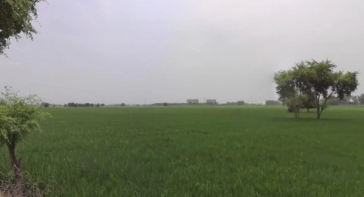 Kherkheda, Madhya Pradesh 455336, India