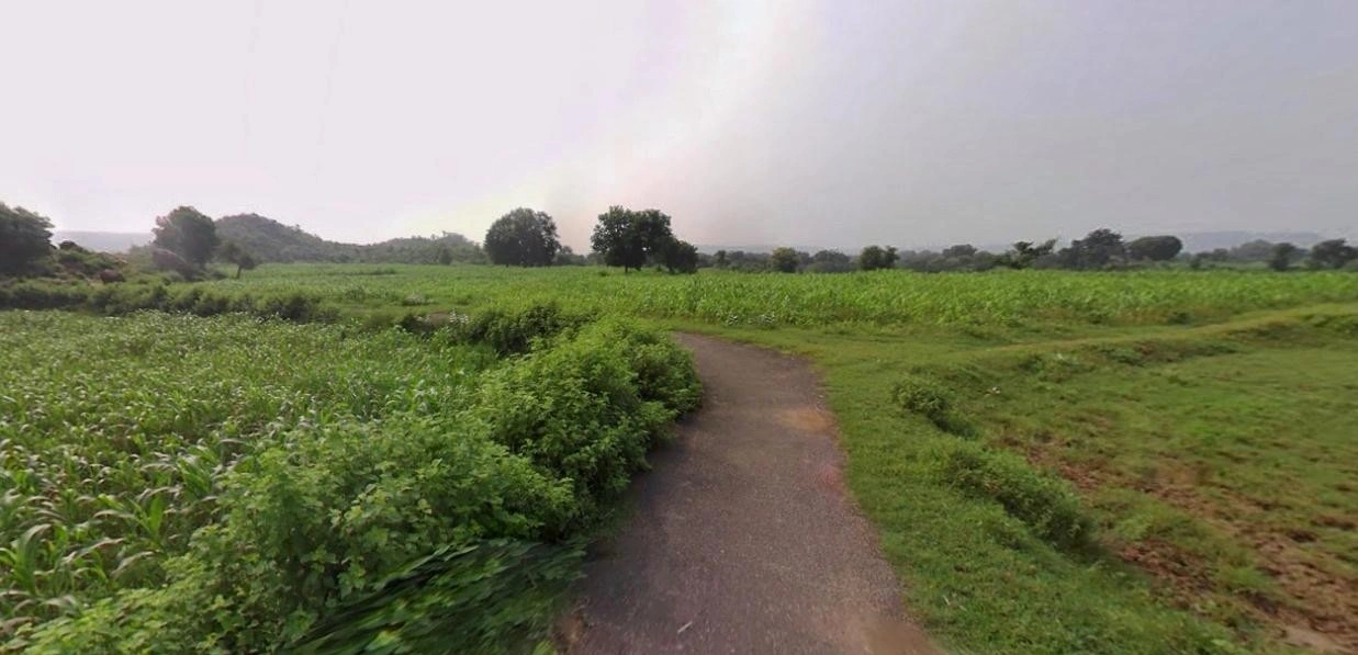 Barnagar, Madhya Pradesh 456771, India