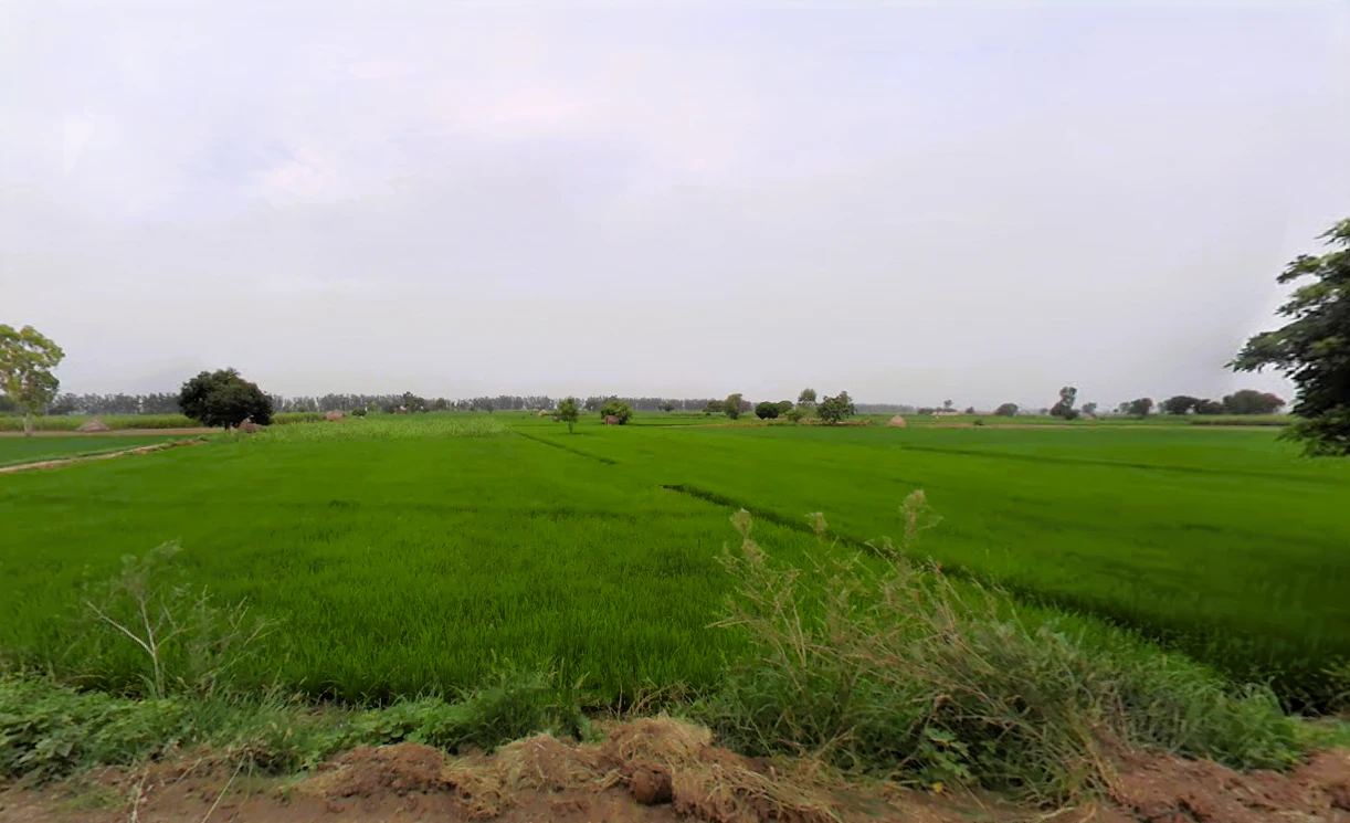 Rajound, Haryana 136044, India