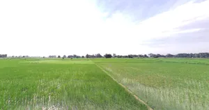 Kithoda, Madhya Pradesh, India preview 2