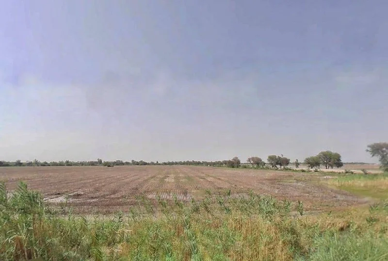 3 Rpm, Rajasthan, India preview 2