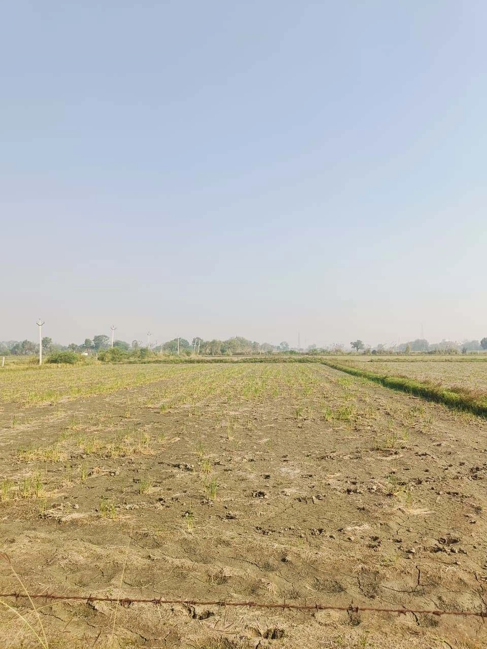 Barhana, Mathura, Uttar Pradesh, India - Photo 3