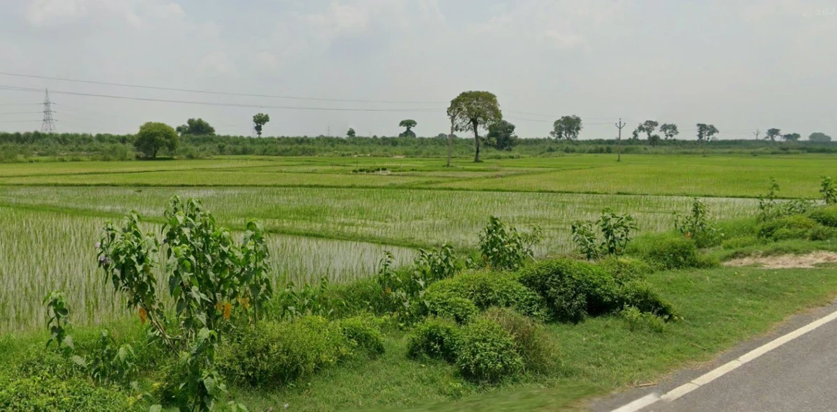 Roorkee, Uttarakhand, India