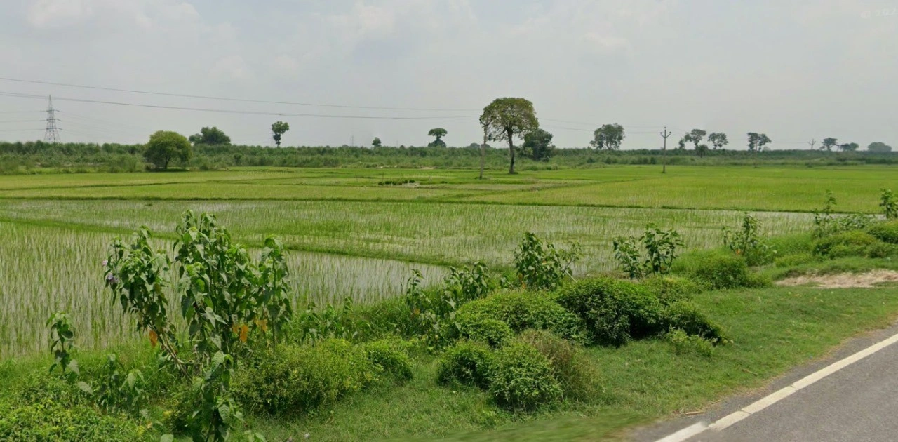 Roorkee, Uttarakhand, India