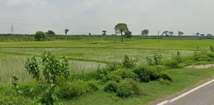 Roorkee, Uttarakhand, India preview 2