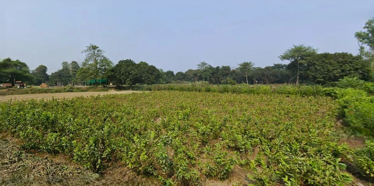 Dund Pur, Uttar Pradesh 209821, India