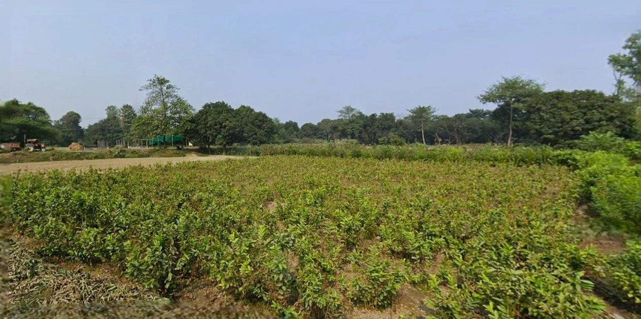 Dund Pur, Uttar Pradesh 209821, India