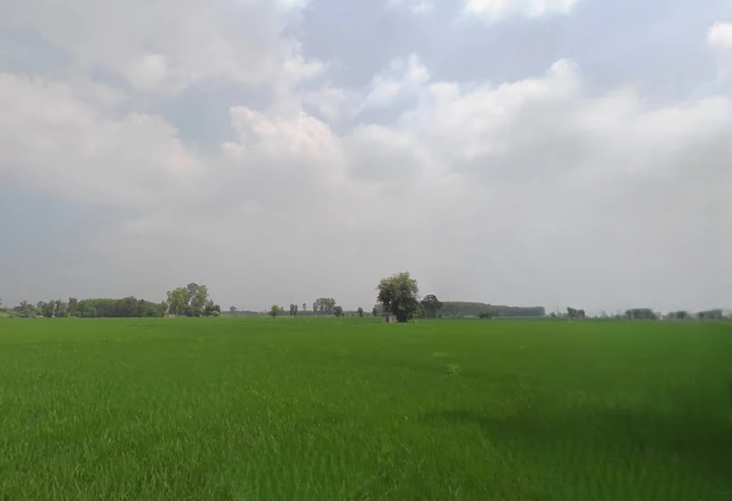 Ladhowal, Punjab 141008, India