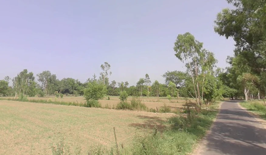 Alamnagar, Uttar Pradesh 245208, India
