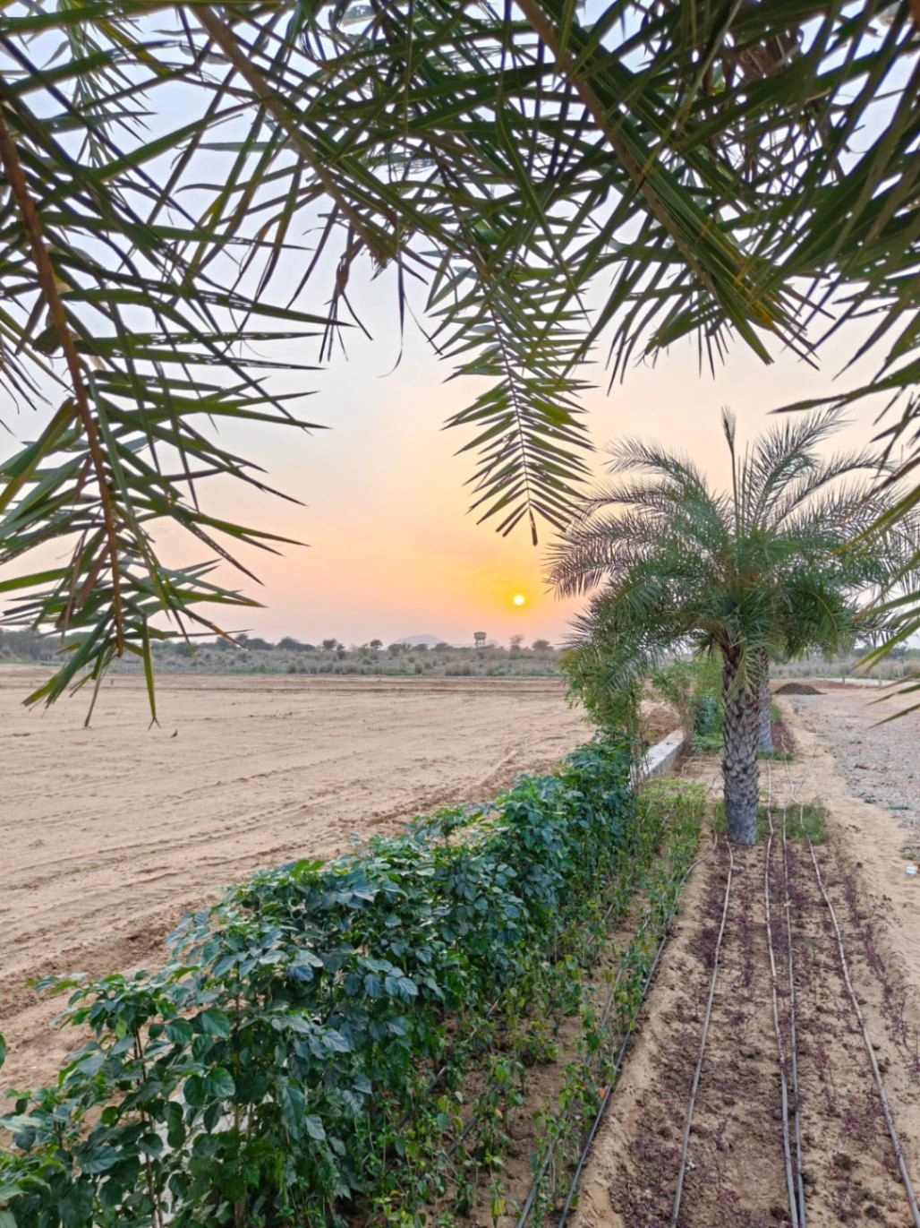 Paota, Rajasthan 303106, India