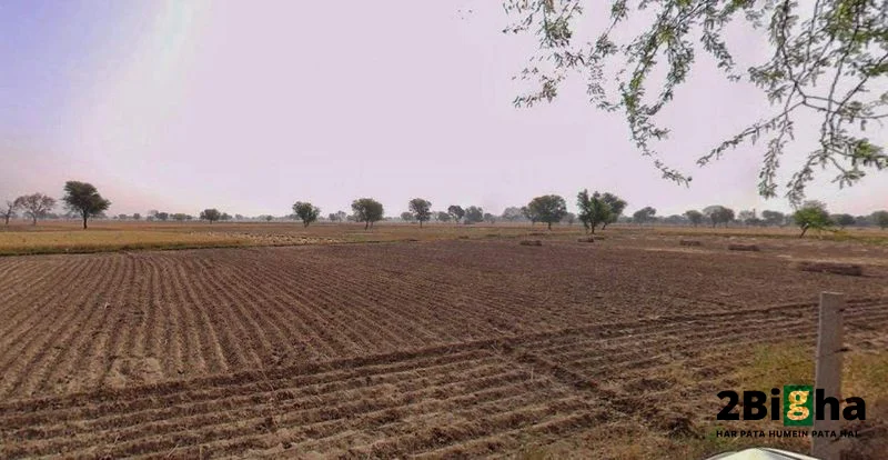 Chhatarpur, Madhya Pradesh 471001, India preview 3