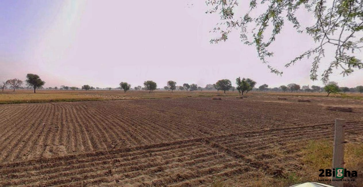 Chhatarpur, Madhya Pradesh 471001, India