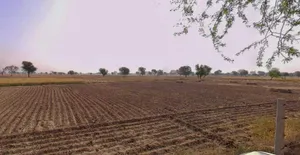 Chhatarpur, Madhya Pradesh 471001, India preview 3