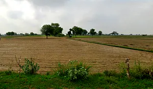 Tentigaon, Uttar Pradesh, India preview 2