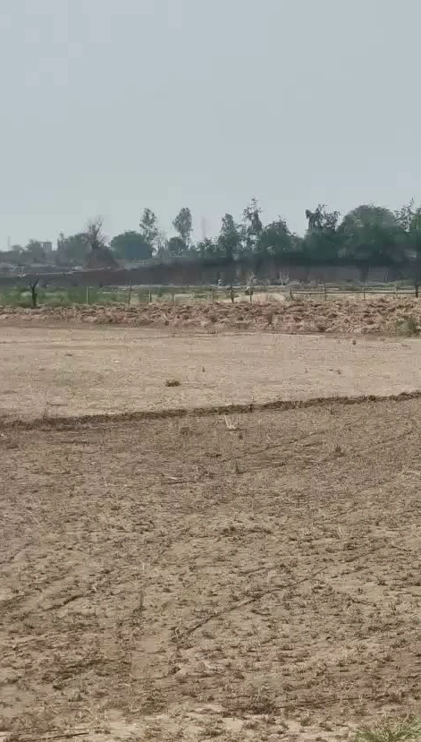 V9R6+CV, Jaipur, Dhinda, Rajasthan 303328, India