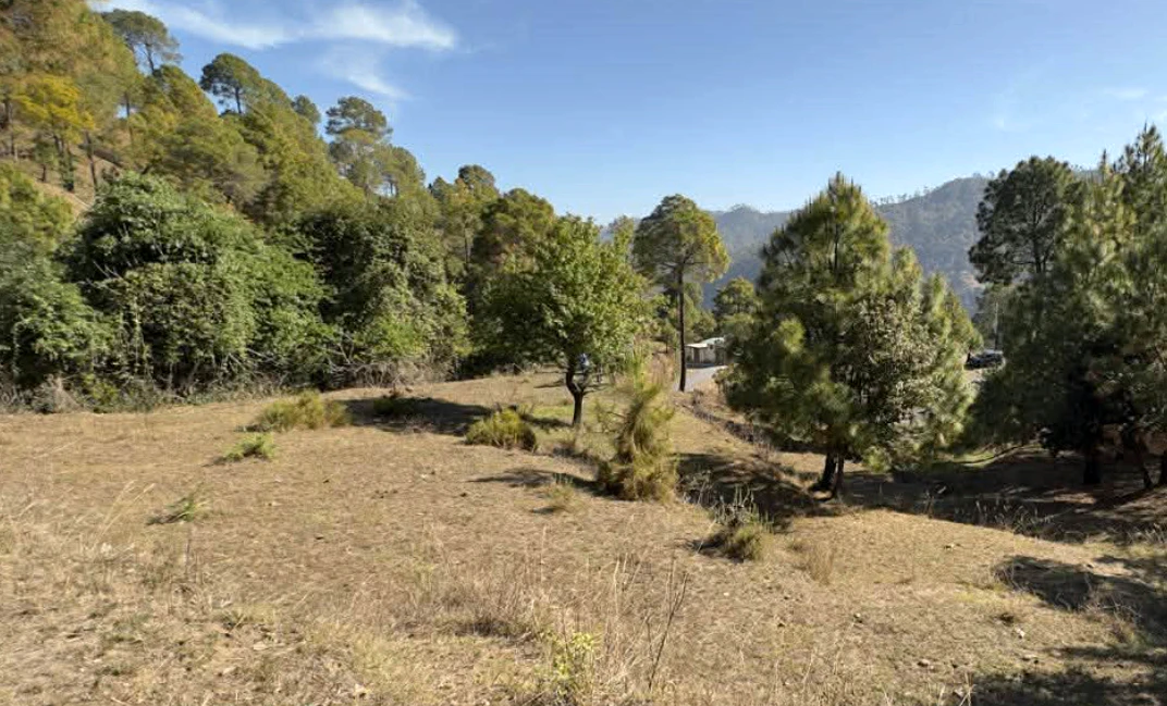 Ambiwala, Uttarakhand 248007, India