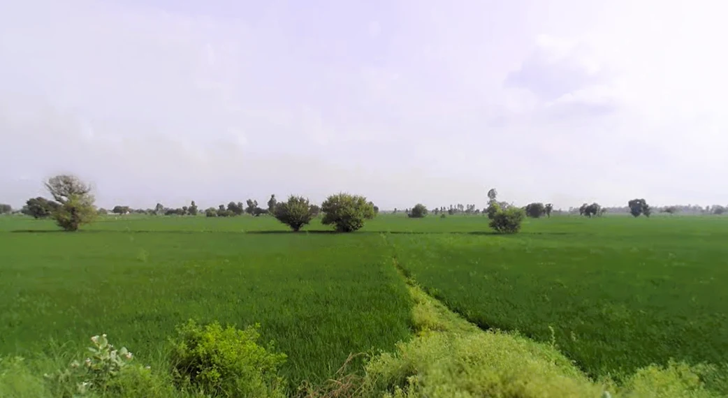 Kohla, Haryana 131302, India
